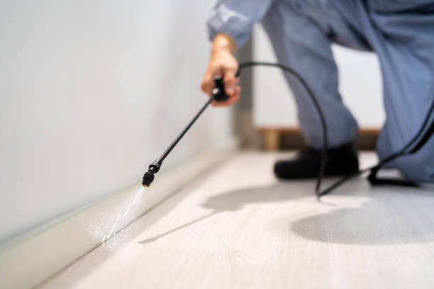 Licensed Pest Control service in Kyle, SD - Show Me Pest Control