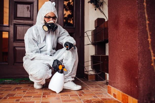 Attic and Crawl Space Rodent Treatment in Kyle